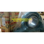GỐI ĐỠ UCP212